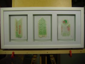 Collage, The three greens, Objektrahmen mit Trio aus Fundstücken auf briefkartengroßem weißen Karton mit Laminierfolie, 28.02.10, gerahmt in Objektkasten  Img_2652.jpg